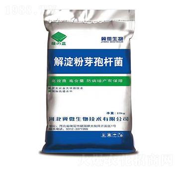 解淀粉芽孢桿菌-綠藍(lán)-冀微生物