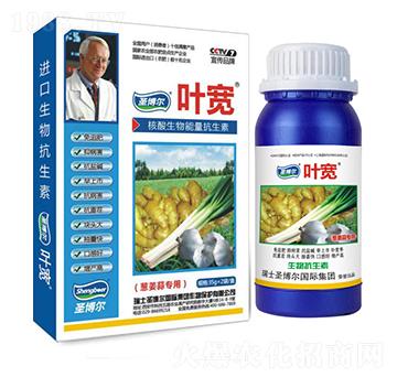 �[���⌣���~���-��������ø�T����-�~��-ʥ��������