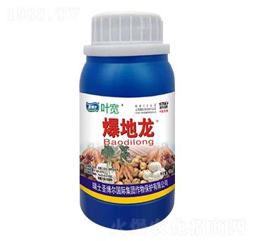 ������-�~��-ʥ��������