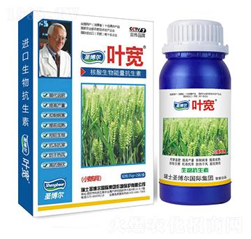 С�������~���-��������ø�T����-�~��-ʥ��������