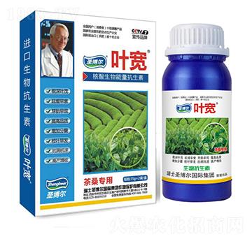 ��ɣ�����~���-��������ø�T����-�~��-ʥ��������