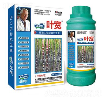 ���ጣ���~���-��������ø�T����-�~��-ʥ��������