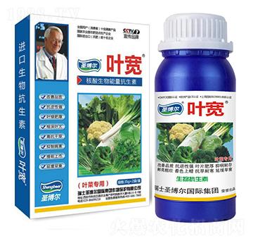 葉菜專用葉面肥-多糖生物酶誘抗肽-葉寬-圣博爾生物