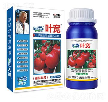 番茄專用專用葉面肥-多糖生物酶誘抗肽-葉寬-圣博爾生物