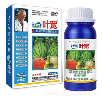 瓜類專用葉面肥-多糖生物酶誘抗肽-葉寬-圣博爾生物