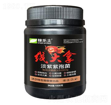 淡紫紫孢菌-線(xiàn)大拿-沃爾特