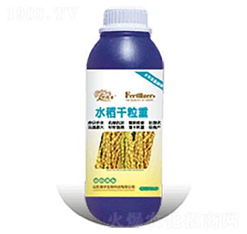 水稻千粒重-瀚宇生物