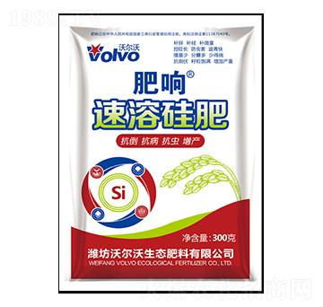 ���ܹ��-���-������