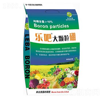 1000g���ɴ��w����