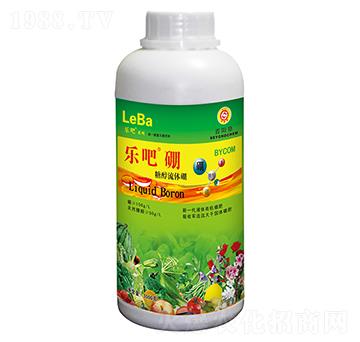 1000g�����Ǵ����w