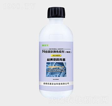 N������ø���߄�-���Sή������-�|չ�r(n��ng)�I(y��)