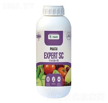 土耳其·普爾卡11-6-35+TE-奧朗沙