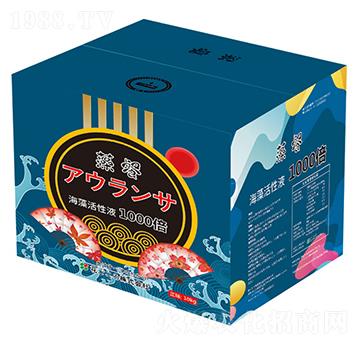 箱裝海藻活性液-奧朗沙