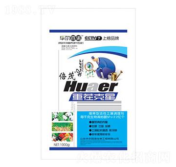 �����{�턩-�ز����-�A�����Z