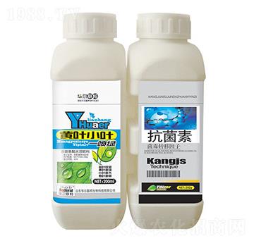 �S�~С�~һ���G+������-�A�����Z