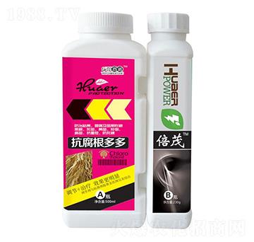 ���������+��ï-�A�����Z