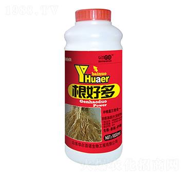 ���ö�-�A�����Z