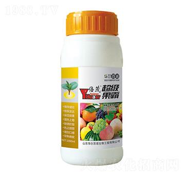 ��������-�A�����Z