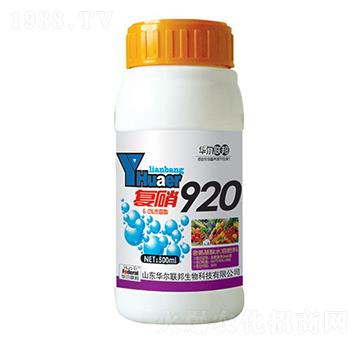 ����920-�A�����Z