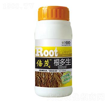 ������-�A�����Z