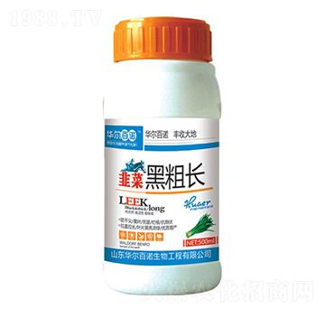 �²˺ڴ��L-�A�����Z