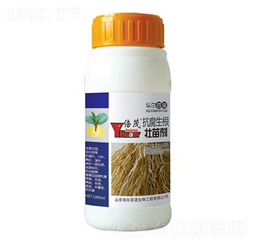 �����������焩-�A�����Z