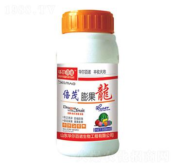 �����-�A�����Z