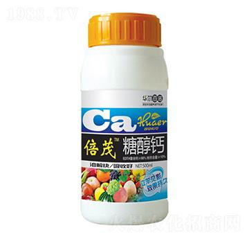 500ml�Ǵ��}-�A�����Z