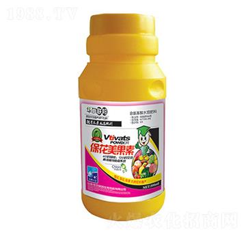 ����������-�A�����Z