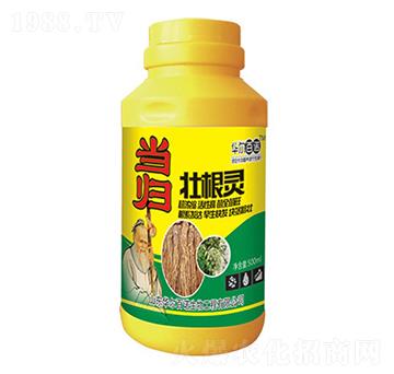 ���w�Ѹ��`-�A�����Z