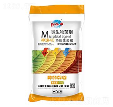 50KG����40�����Ծ���24-6-10-�ֲ���