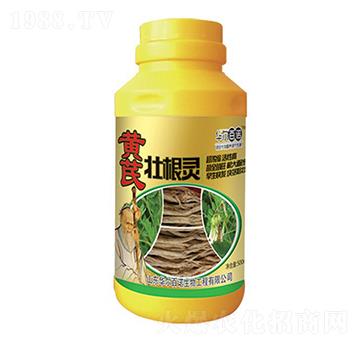 �S�ΉѸ��`-�A�����Z