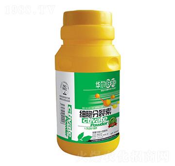 ��(x��)��������-�A�����Z