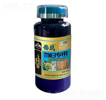 ���w�����~���-�A�����Z