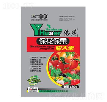 �������������-�A�����Z