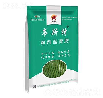 �ۄ������-�f˹��-��(l��)�r(n��ng)�I(y��)