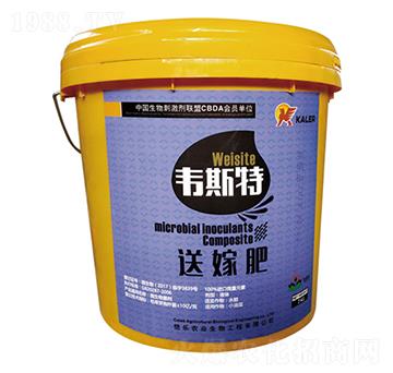 Һ�w�ͼ޷�-�f˹��-��(l��)�r(n��ng)�I(y��)