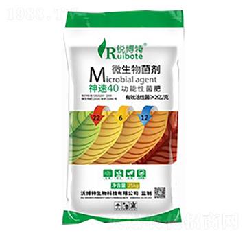 ����40�����Ծ���24-6-10-�J����-�ֲ���