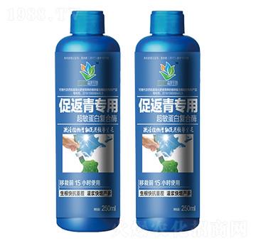 促返青專(zhuān)用超敏蛋白復(fù)合酶-森蕎生物