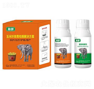玉米葉斑青枯病解決方案-瀚象-瀚獅