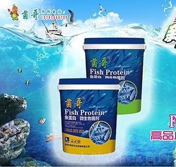 魚蛋白微生物菌劑-?；? />
                                </div>
                            </div>
                            
                            <style type=