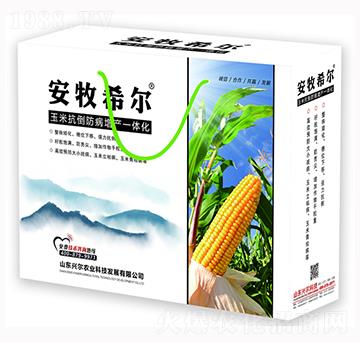 玉米抗倒防病增產(chǎn)一體化方案-安牧希爾