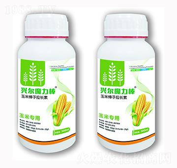 玉米棒子拉長素-興爾魔力棒-興爾農(nóng)業(yè)