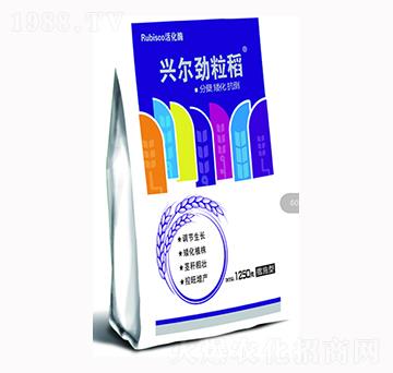 興爾勁粒稻-興爾農(nóng)業(yè)