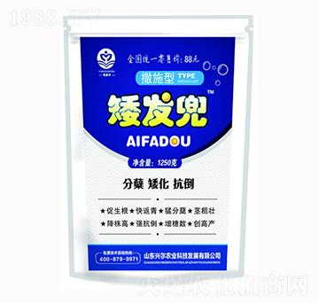 矮發(fā)兜-興爾農(nóng)業(yè)