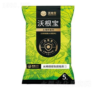 �����ޏ̈́�-�ָ���-�ֵ،�