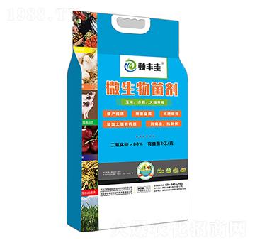 玉米、水稻、大田專用微生物菌劑-頓豐圭