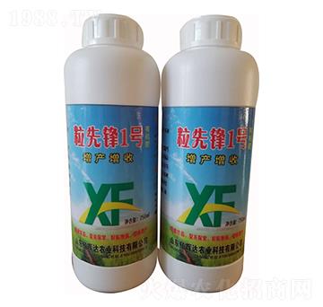 粒先鋒1號(hào)-億輝達(dá)