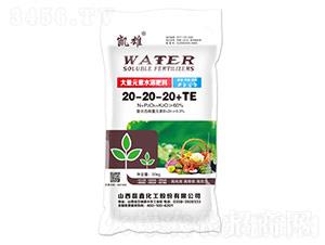 大量元素水溶肥料20-20-20+TE-凱雄-磊鑫化工