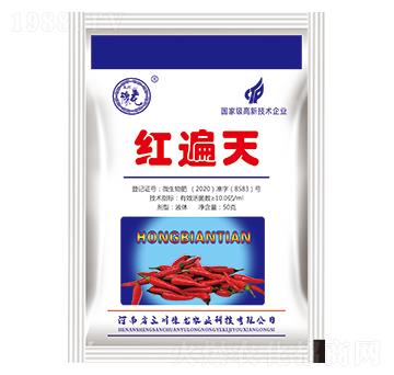 紅遍天-蕓滿收-三川豫龍